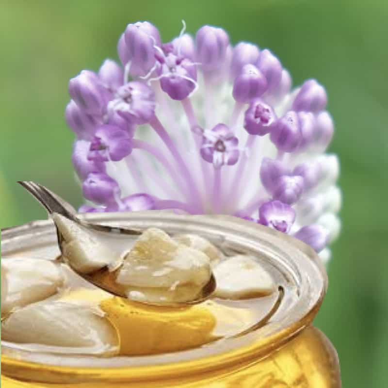 happy, Healthy, Easy To Make Garlic  Honey