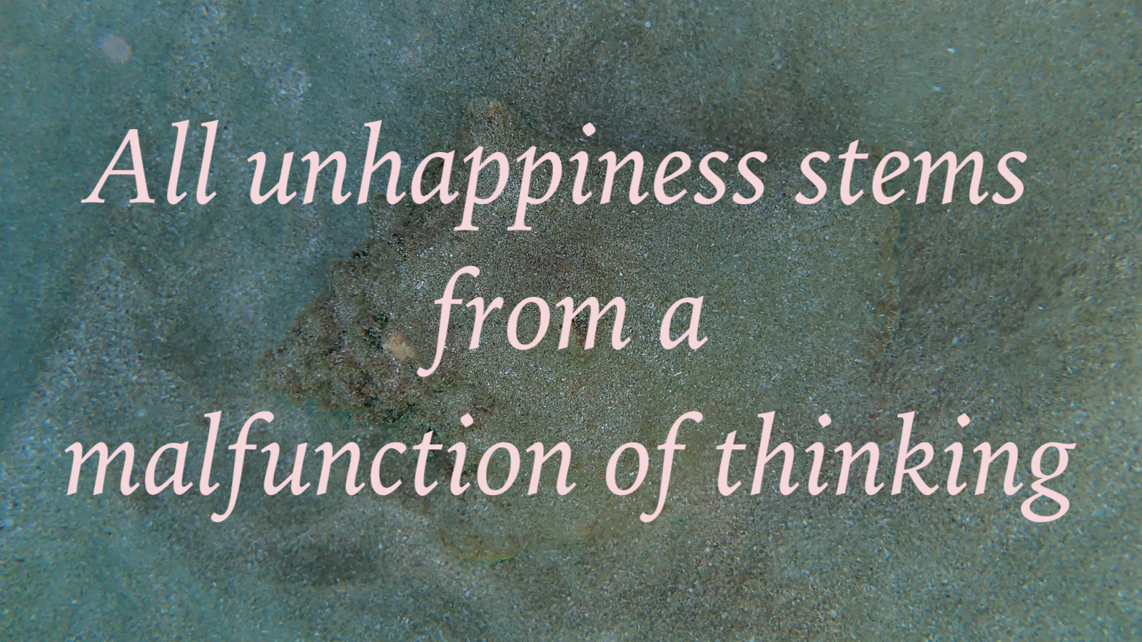 if you could have a free billboard, what would you say?