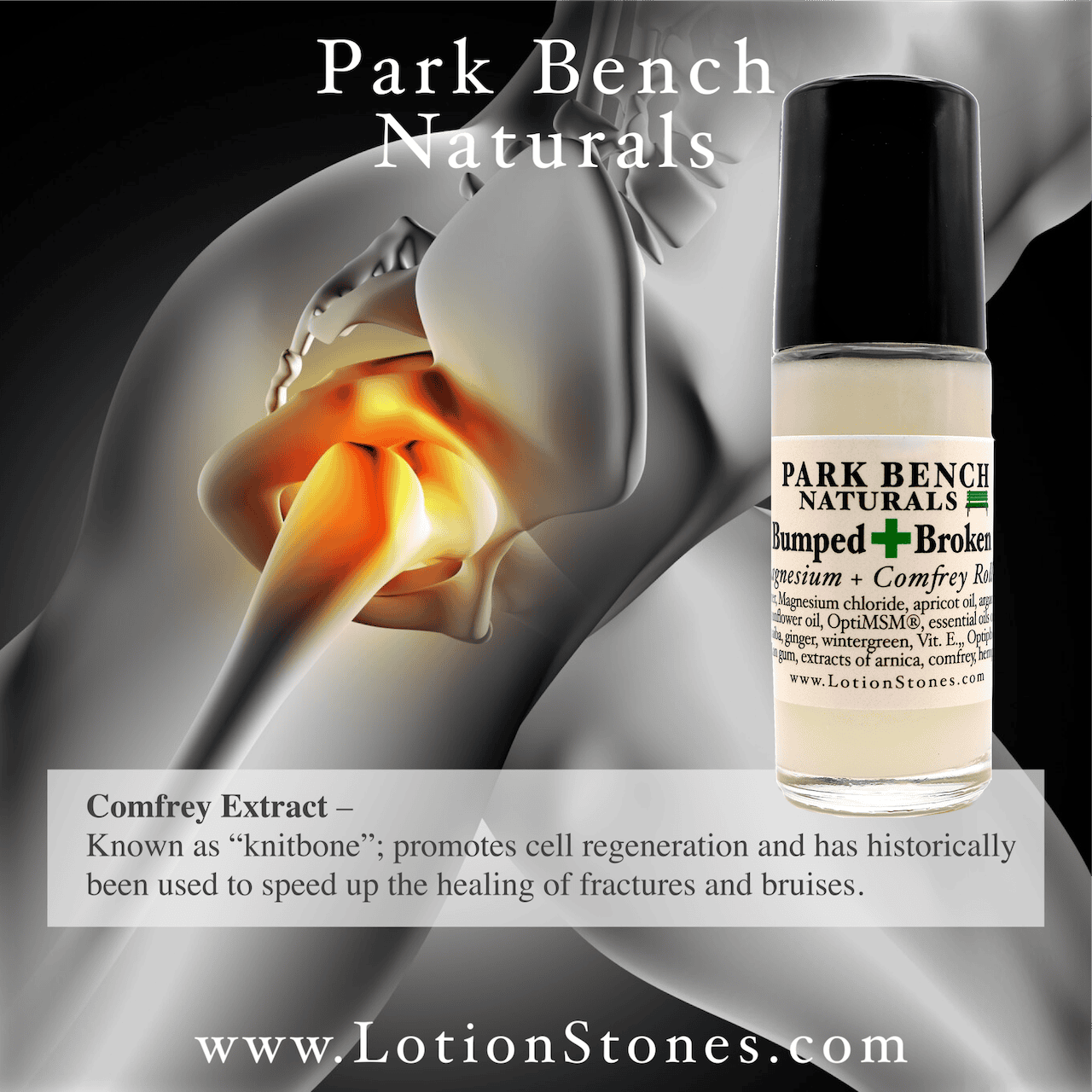 Speed Up the Healing of Fractures Hydroxyapatite Tooth Powder Natural Wellness Arnica comfrey extracts traditionally used for bruises bumps and sore tissues